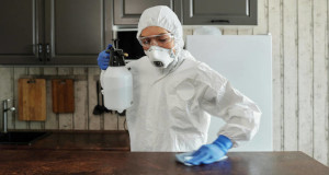 ¿Cuánto cuesta desinsectar una casa? Precios en 2025