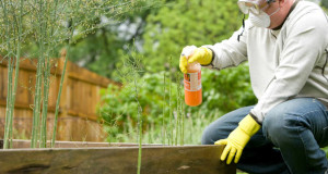 ¿Cuánto cuesta fumigar un jardín? Precios en 2025
