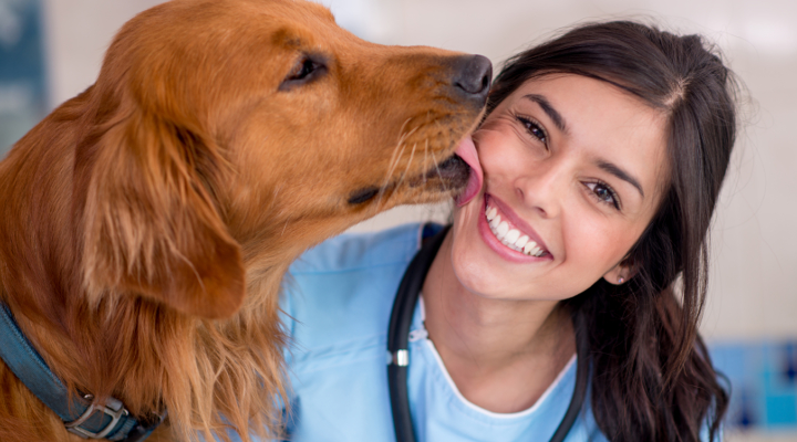 montar una clínica veterinaria