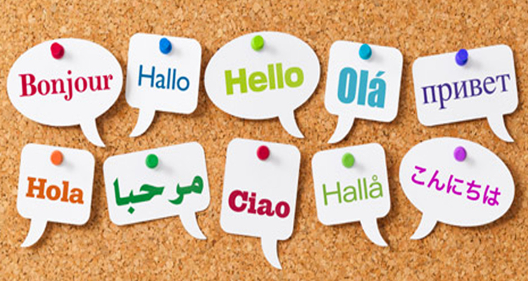 Conseguir clientes para traducción