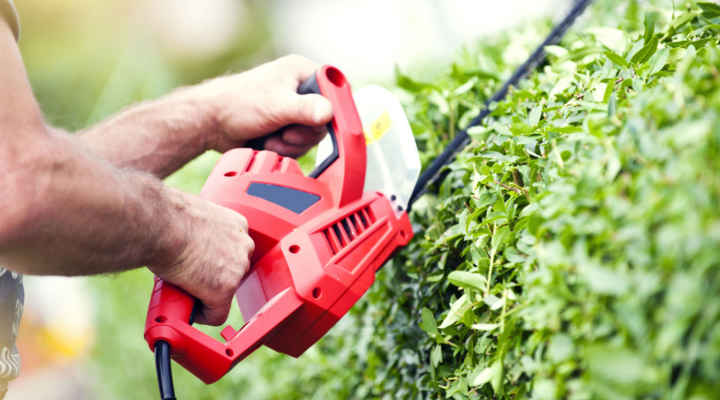 montar empresa jardineros