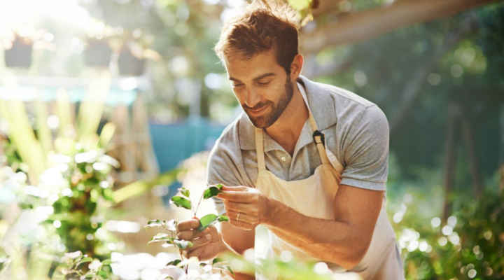 Cómo montar una empresa de jardinería