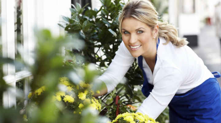 Crear una empresa de jardinería