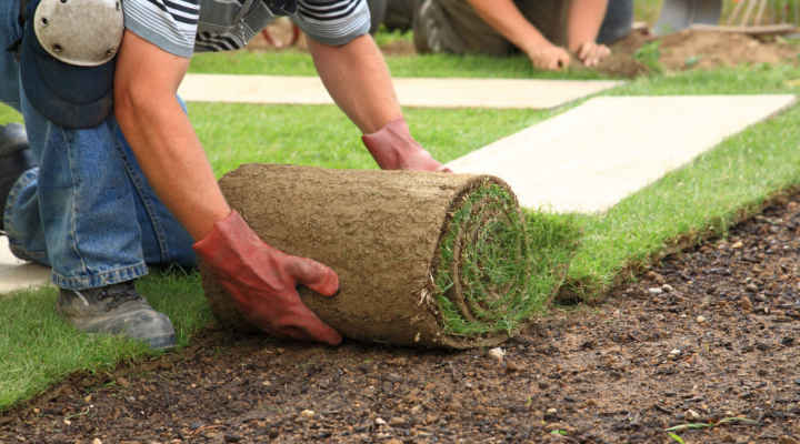 Montar una empresa de jardinería