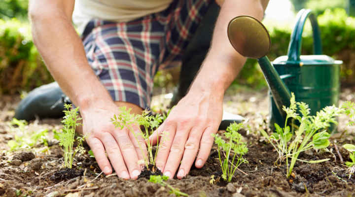 Cómo crear una empresa de jardinería