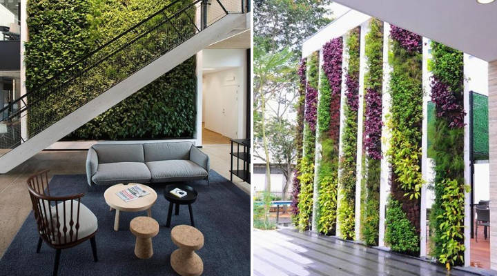 Cuánto cuesta instalar un jardín vertical