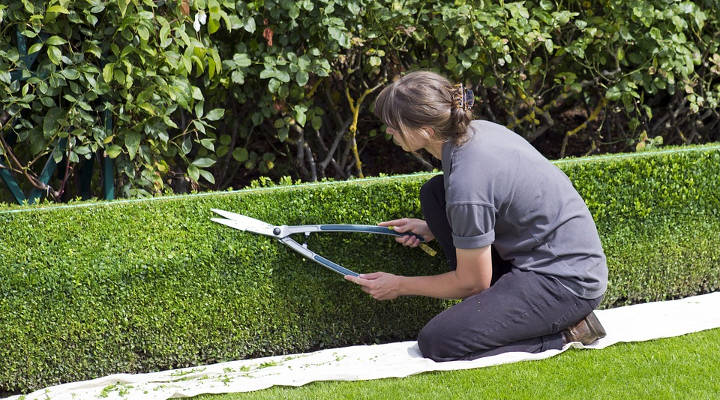 Cuánto cuesta mantener un jardín