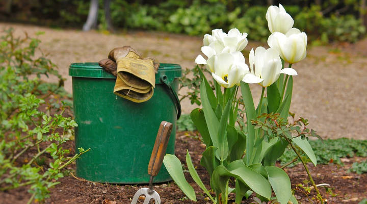 Cuánto cuesta el mantenimiento de jardines
