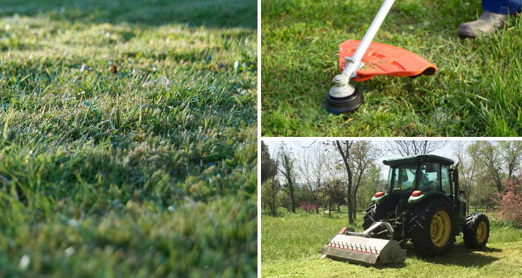 Cuánto cuesta desbrozar una parcela o terreno