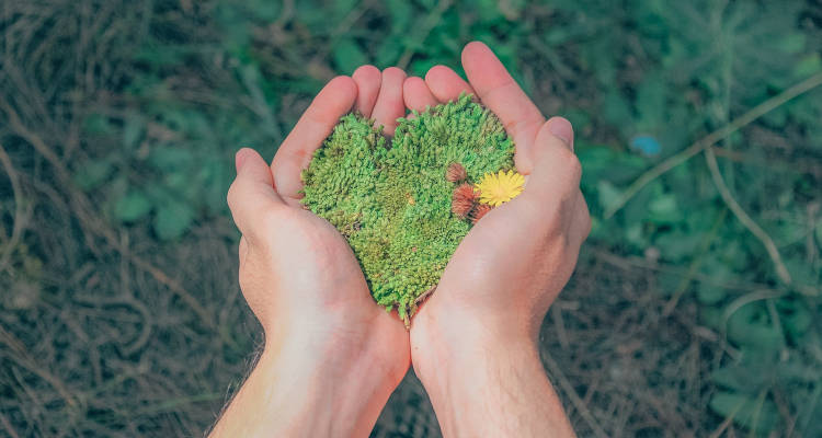 Cuánto cuesta un Estudio de Impacto Ambiental