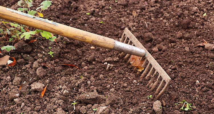Cómo preparar el jardín para poner césped