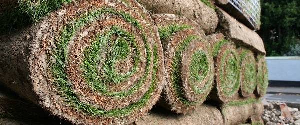 Rollos de césped