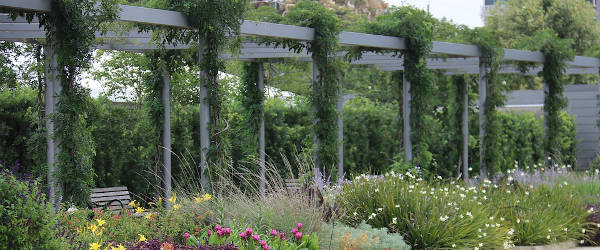 Pérgola
