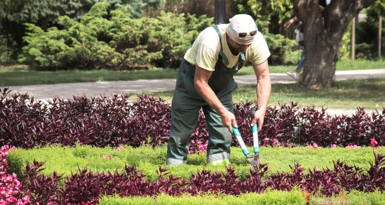 Ferias de jardinería en España