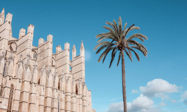 Precio de cerrajero en Palma de Mallorca Precio de cerrajero en Palma de Mallorca