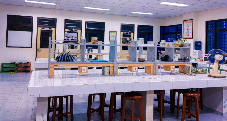 Cuánto cuestan las clases particulares de bioquímica