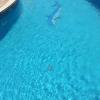 Mantenimiento de piscinas 