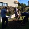 Jardinería Garea