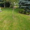 Jardinería Garea