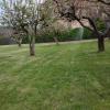 Jardinería Garea
