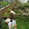 Jardinería Garea