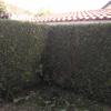 Jardinería Garea