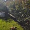 Jardinería Garea