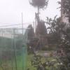 Jardinería Garea