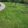 Jardinería Garea