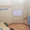 Consulta