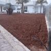 Jardineria Eva