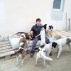 Disfrutando de mi estancia en zooland