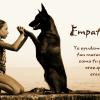 Adiestramiento Canino Profesional Empatican