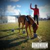Binomium Adiestramiento