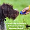 El clicker es una herramienta que usamos en nuestro dia a dia y ahora también hacemos cursos para que tú aprendas a utilizarlo.