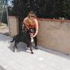 Adopta