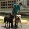 Adopta