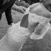 Video Producciones Sm