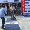 Educador Canino  Psicocanem