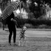 Fotografía con  animales