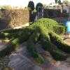 Jardineria Nico