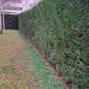 Jardineria  Y Limpiezas