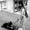 Mery