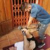 Cristian