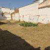 Desbroce Limpieza Y Jardinería