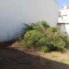 Desbroce Limpieza Y Jardinería