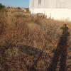 Desbroce Limpieza Y Jardinería