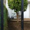Jardineria Dga