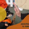 Oracan  Adiestramiento Canino