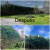 Abdel